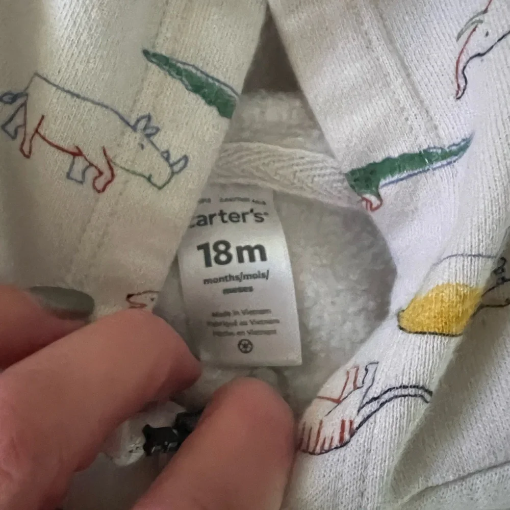 Kids Dinosaur Print Active Sweatsuit Set
